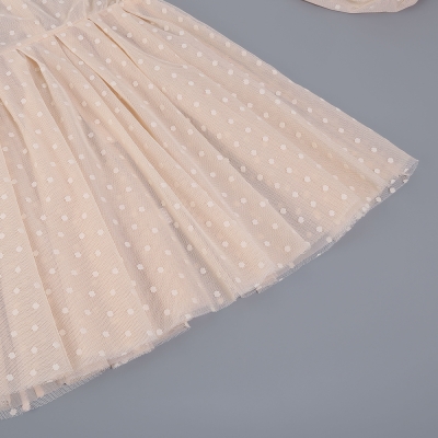 Long-Sleeve-Mesh-Dress-﹠-Lace-Waist-Sealing-Set-K1053-14