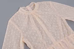 Long-Sleeve-Mesh-Dress-﹠-Lace-Waist-Sealing-Set-K1053-17